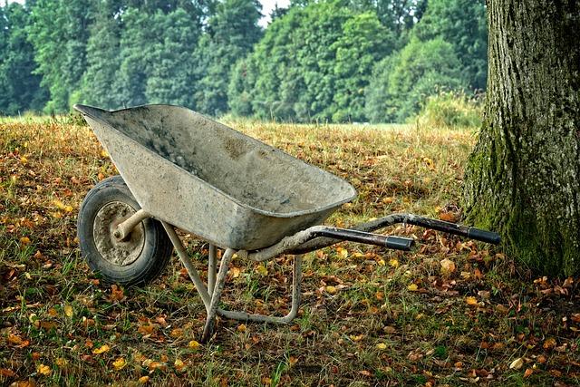 Symbolika karet: Jak číst tajemství