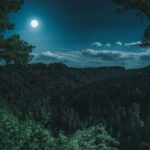 Magický úplněk: Rituály a Kouzla pro Každou Fázi