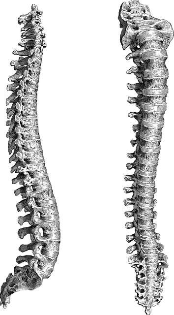 Spine: Tajemství a Síla Spinelu