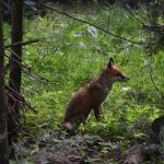 Úplněk a nov vliv na hubnutí: Jak Měsíc Ovlivňuje Váhu