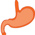 Žaludek a Léčivé Kameny: Nejlepší Minerály pro Trávení