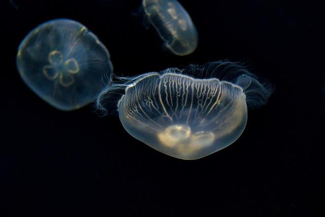 Jak číslo 20 ovlivňuje vaše osobní a profesní život