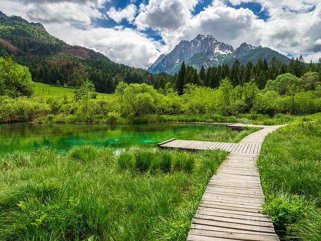 Meditace Zelenka na Čakry: Jak Dosáhnout Harmonii