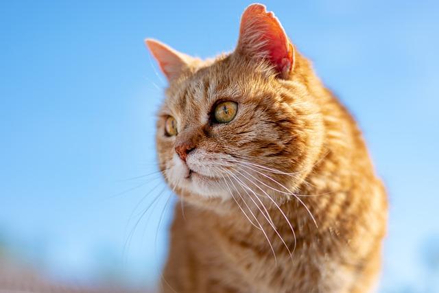 Jak objevit svůj astrologický profil